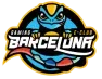 partner image